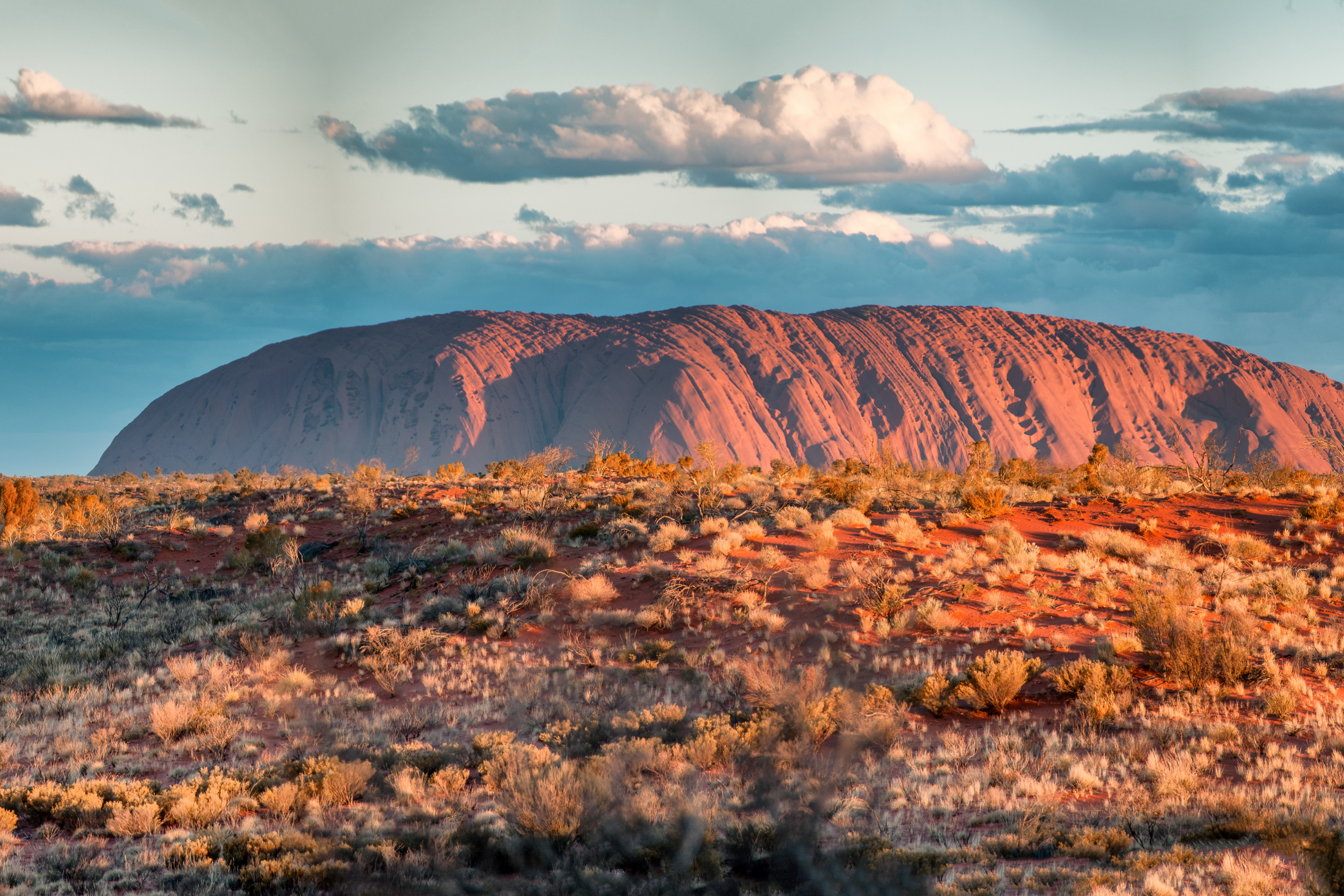 nitmiluk national park, northern territory (4).webp